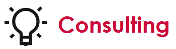 consulting service